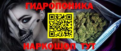 СК Канаш