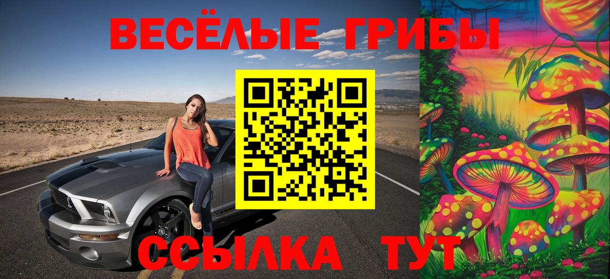 Кувандык  Галлюциногенные грибы Magic Shrooms  Вход с VPN 
